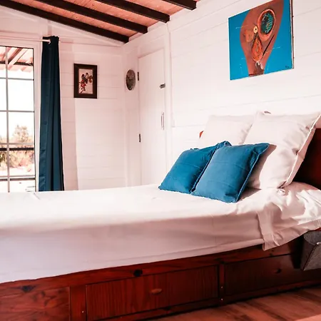 Charming Near Alvor Bay - Damashome Appartement